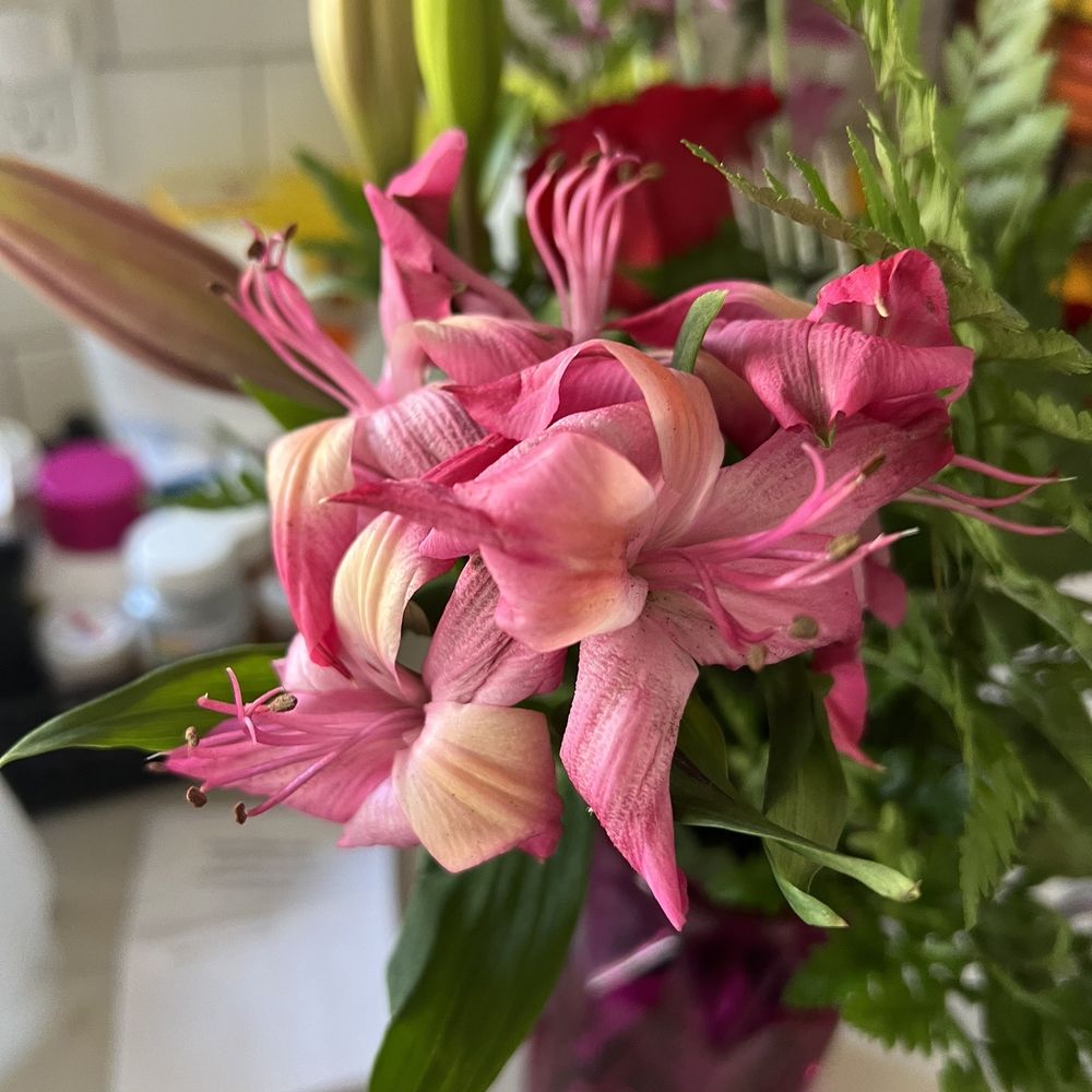 Floreria Mexico - Wilted flowers at time of delivery - Florists Near Me - Huntington Park, California Floreria Mexico - Wilted flowers at time of delivery - Florists Near Me - Huntington Park, California