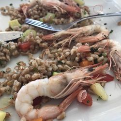 Ciccio - Check out the size of these prawns
