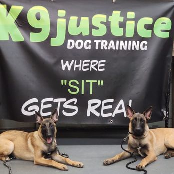 K9 Justice dog training - Pet Training Near Me - Toccoa, Georgia K9 Justice dog training - Pet Training Near Me - Toccoa, Georgia