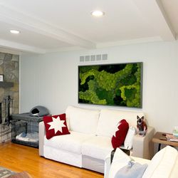 Naturspire - Bring maintenance-free Nature into your space with preserved moss wall art! This resident asked for a custom design - her pets love it too!