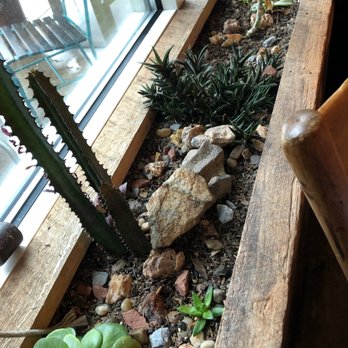 Artifact Coffee - The table we sat at in the back was by the window with a cute succulent windowbox. - Cafes Near Me - Baltimore, Maryland