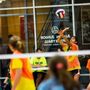 Photo of Spike Frog Volleyball