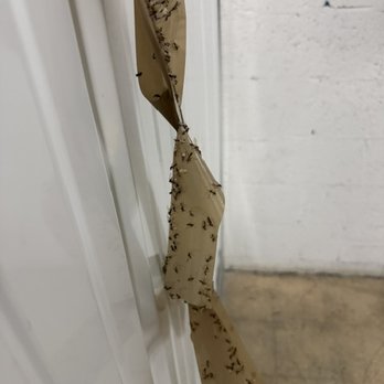 CubeSmart Self Storage - more tape removed from our boxes - Self Storage Near Me - Fort Lauderdale, Florida