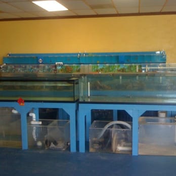 Total Fish & Pets - New frag tank set up in the front and smaller salt water fish tanks in the back - Pet Stores Near Me - Alhambra, California