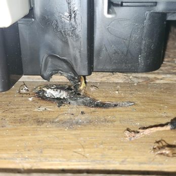 Rxo - Burnt hole in my floor, there a small yellow left from the melted cap of the wire nut - Shipping Centers Near Me - Cleveland, Ohio