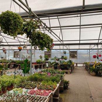 TLC Garden Centers - Pretty plants - Nurseries & Gardening Near Me - Oklahoma City, Oklahoma