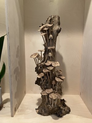 SCP Depoe Bay by null