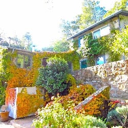 Wine Country Getaway - Ivy Laden Front Stairs