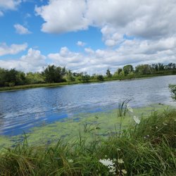 Fox River Shores Forest Preserve