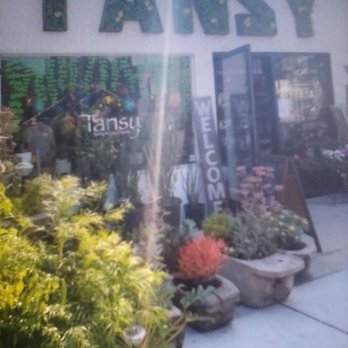 Tansy - Home Decor Near Me - Burbank, California