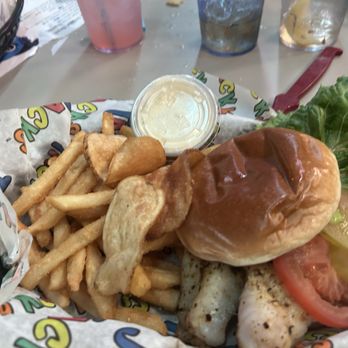 Tacky Jacks - Catch of the day fish sandwich (very good) - Bars Near Me - Orange Beach, Alabama Tacky Jacks - Catch of the day fish sandwich (very good) - Bars Near Me - Orange Beach, Alabama