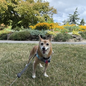 Queen Elizabeth Park - Parks Near Me - Vancouver, British Columbia