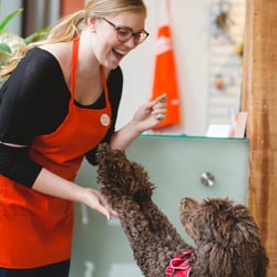 Bones Pet Stores