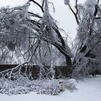 Johnson's Tree Service - Tree Services Near Me - Carmel Hamlet, New York Johnson's Tree Service - Tree Services Near Me - Carmel Hamlet, New York