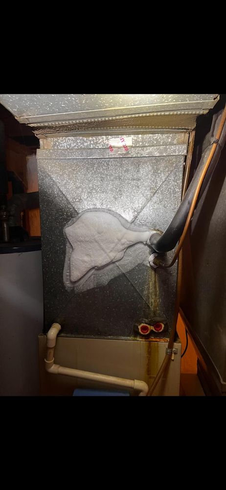 Slide of Energygrene