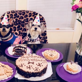 Three Dog Bakery - Dog edible cake, cupcake, cannolis, treats - Pet Stores Near Me - Albuquerque, New Mexico