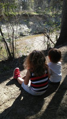 Spring Creek Forest Preserve by null