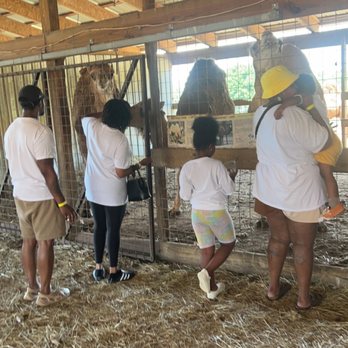 Zootastic Park - Zoos Near Me - Troutman, North Carolina Zootastic Park - Zoos Near Me - Troutman, North Carolina