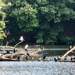 T Bayles Minuse Mill Pond and Park