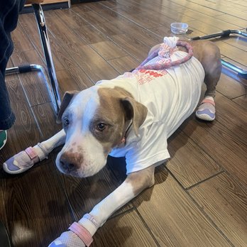 Namu Kitchen - Dog friendly! - Breakfast & Brunch Near Me - West Covina, California