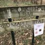 Photo of Red Maple Trail