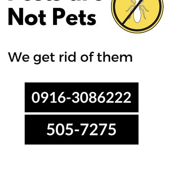1st Syn Pest Control Services - Pest Control Near Me 1st Syn Pest Control Services - Pest Control Near Me
