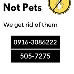 1st Syn Pest Control Services