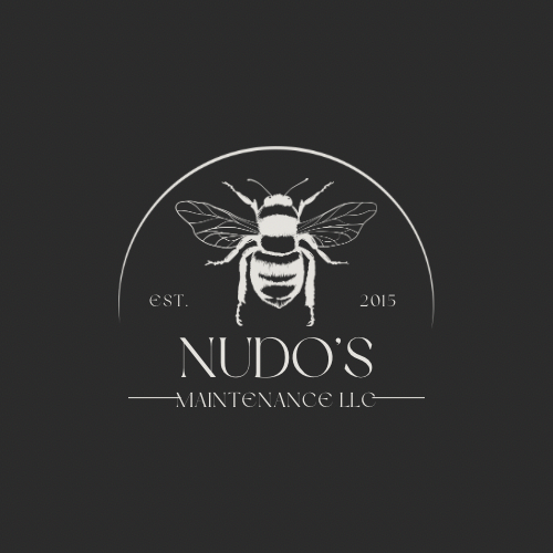 Slide of Nudo’s Maintenance