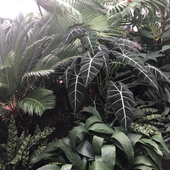 Volunteer Park Conservatory - Parks Near Me - Seattle, Washington