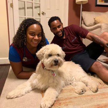 Doorstep Veterinary Care - Doorstep Veterinary Care gave Juno Josephine a clean bill of health! - Veterinarians Near Me - Clinton, Maryland Doorstep Veterinary Care - Doorstep Veterinary Care gave Juno Josephine a clean bill of health! - Veterinarians Near Me - Clinton, Maryland