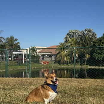 Doki's Pets Grooming - Pet Groomers Near Me - Miami, Florida