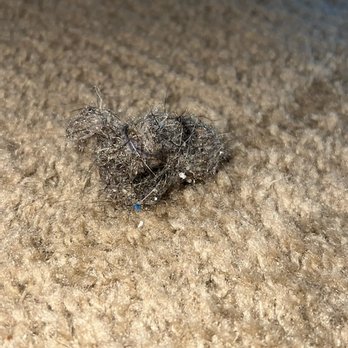 On-Target Floor Care - Carpet Cleaning Near Me - Scottsdale, Arizona On-Target Floor Care - Carpet Cleaning Near Me - Scottsdale, Arizona