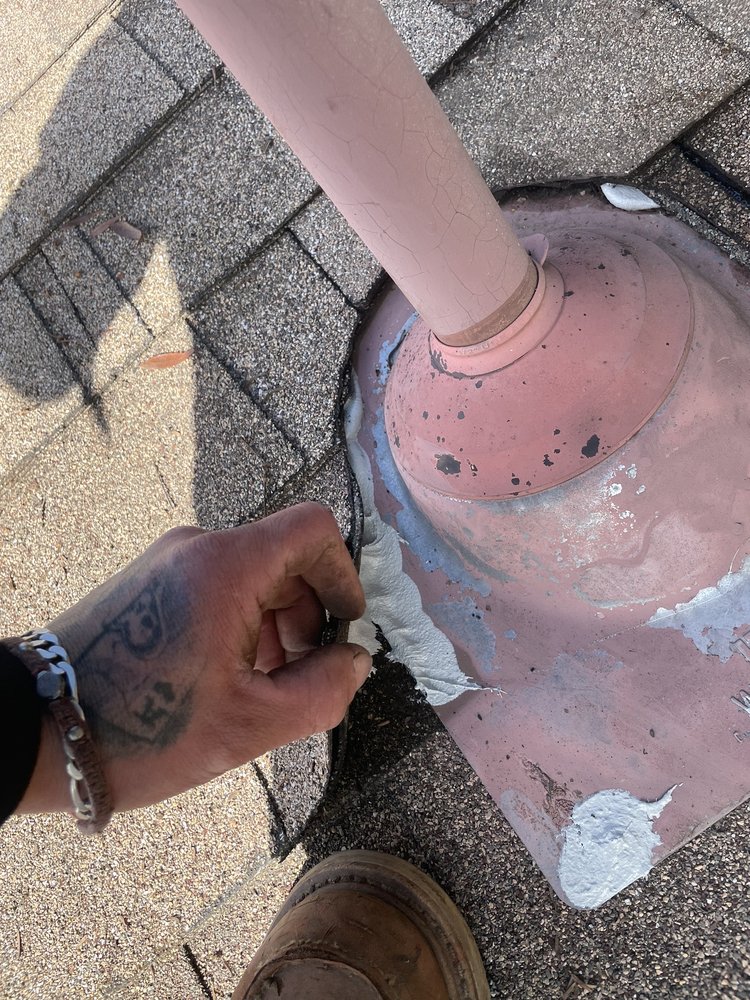 Slide of Lukas Pigeon Removal & Gutter Cleaning