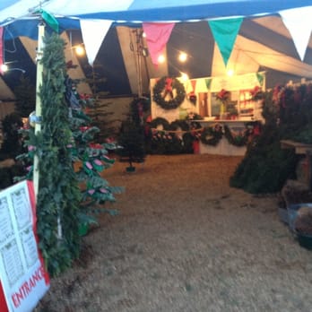Heidi's Fresh Christmas Trees - Christmas Trees Near Me - Modesto, California Heidi's Fresh Christmas Trees - Christmas Trees Near Me - Modesto, California
