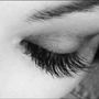 Photo of My Lash & Brow Studio