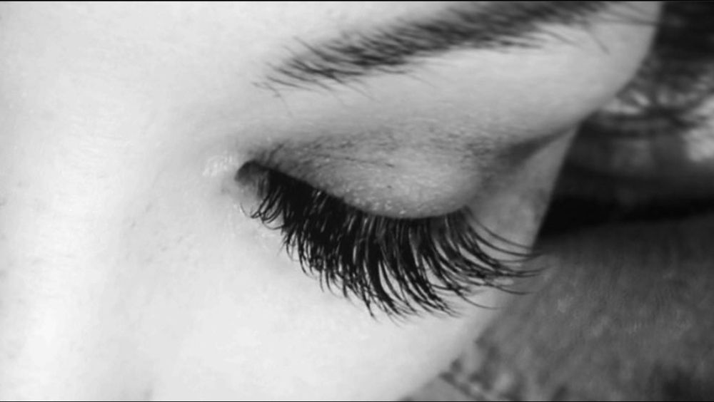My Lash & Brow Studio Logo