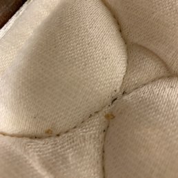 Dead bed bugs (2 and droppings) on very old mattress in the room. Brought the two bugs to the desk clerk.