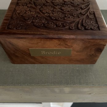 Kavanagh Frank DVM - Top view of the box - Veterinarians Near Me - Ramsey, New Jersey