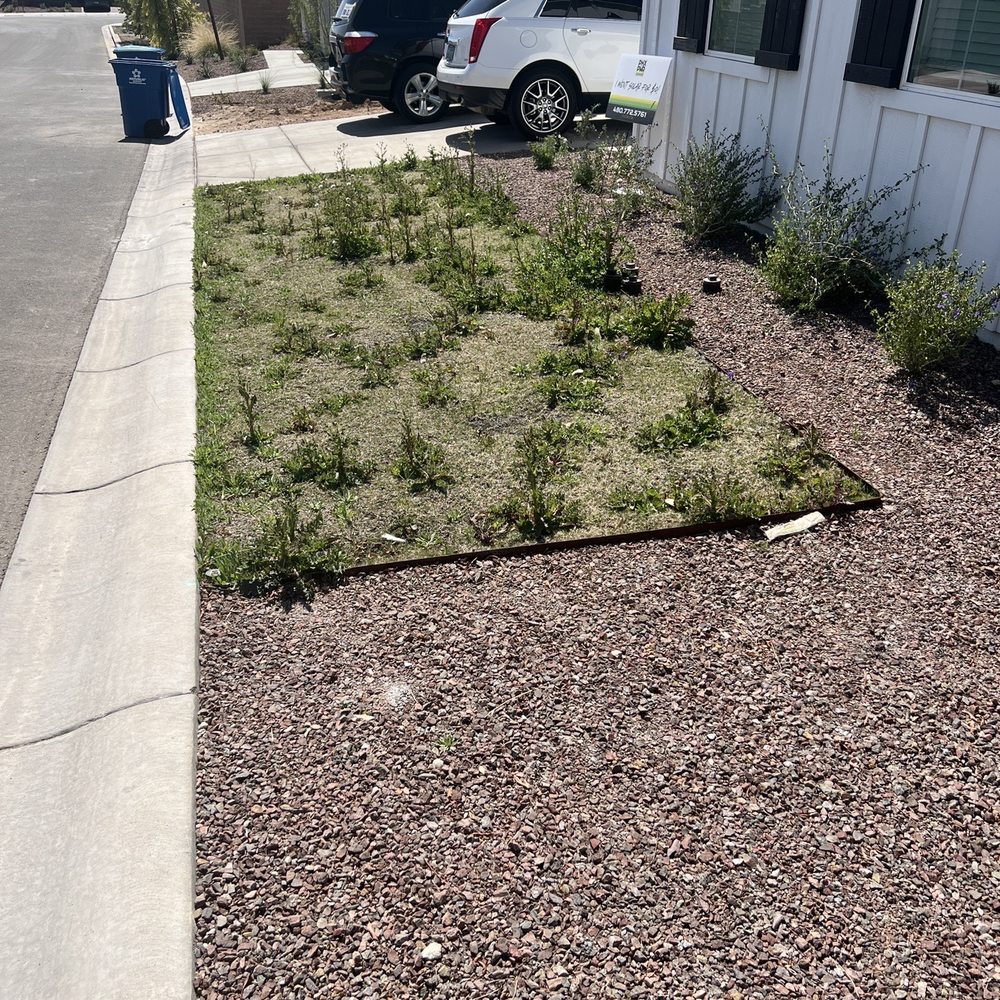 All Green Turf Pros - My yard Before Anthony & All Green Turf Pros - Artificial Turf Near Me All Green Turf Pros - My yard Before Anthony & All Green Turf Pros - Artificial Turf Near Me