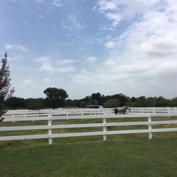 White Fences Equestrian Center - Horseback Riding Near Me - Manor, Texas White Fences Equestrian Center - Horseback Riding Near Me - Manor, Texas