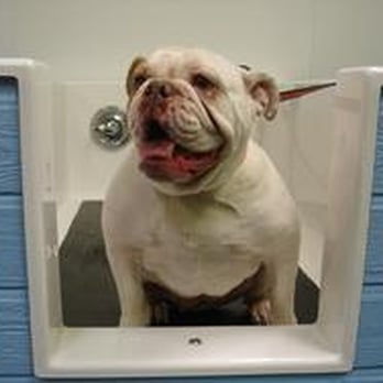 BlackPaw - Pet Groomers Near Me - Louisville, Colorado BlackPaw - Pet Groomers Near Me - Louisville, Colorado