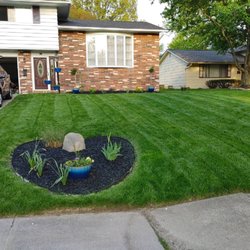 Mr B's Lawn Aeration