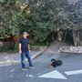 Photo of Paws & Stay K9 Training