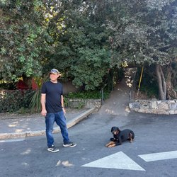 Paws & Stay K9 Training