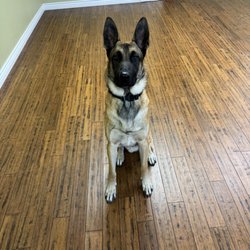 Shanti Yoga - More security system love