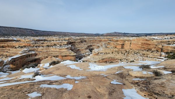 Natural Bridges National Monument by null