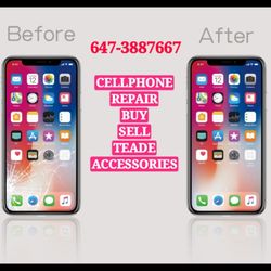 Cellular Nation