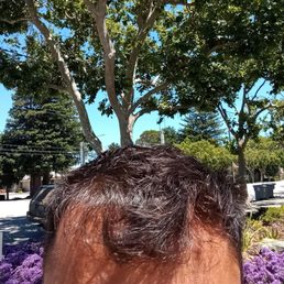 Bad haircut Bad haircut