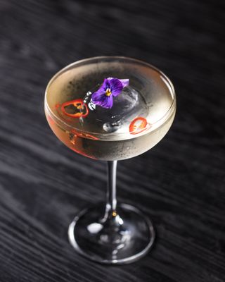 Library of Distilled Spirits by null