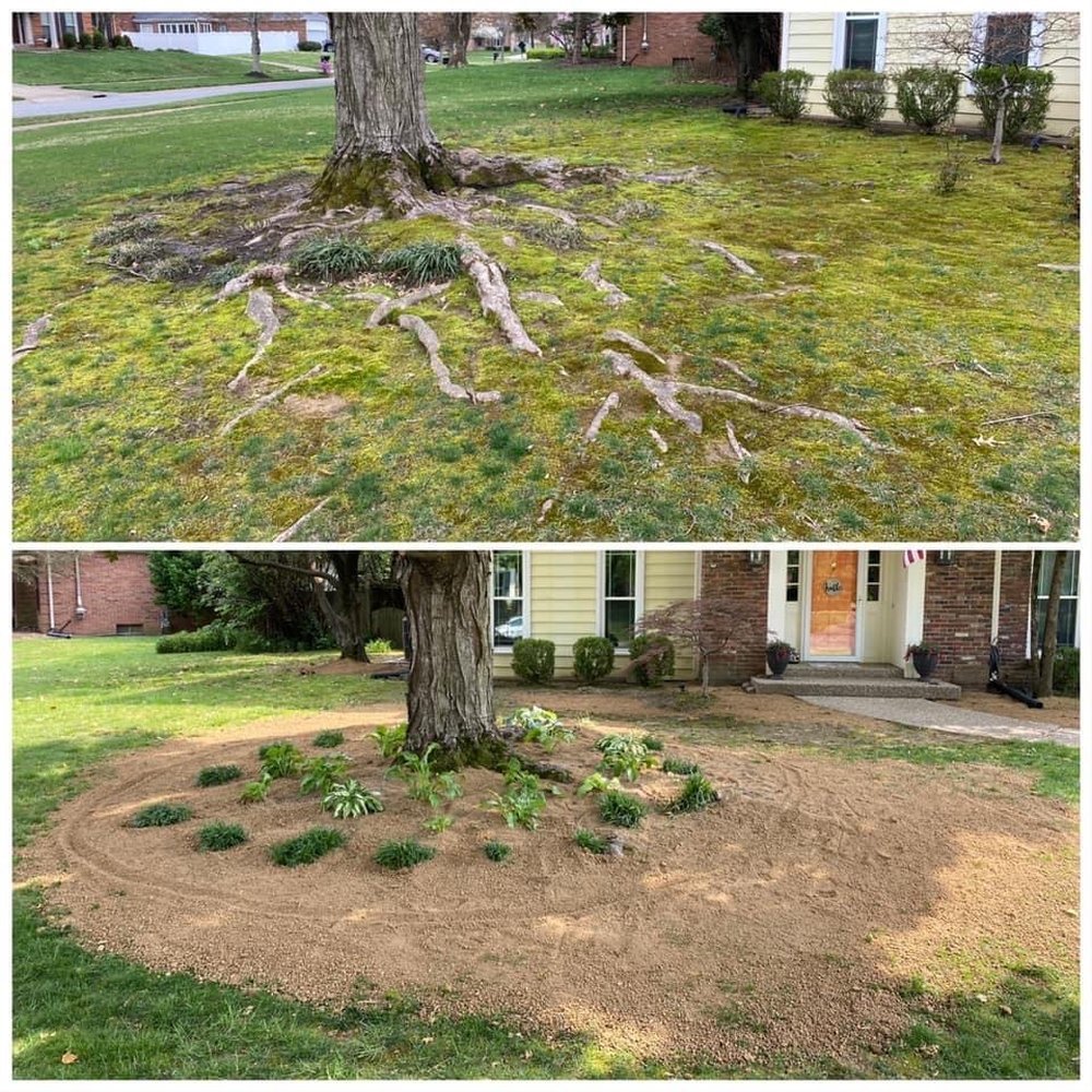Mitchell’s Manicured Landscapes - Before and after new sod - Landscaping Near Me - Jeffersontown, Kentucky Mitchell’s Manicured Landscapes - Before and after new sod - Landscaping Near Me - Jeffersontown, Kentucky